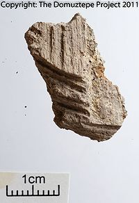 DZ-149 Face.jpg