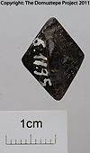 DZ-008 Reverse.jpg