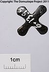 DZ-005 Reverse.jpg