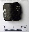 TB-010 Reverse.jpg