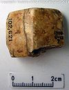 TB-011 Reverse.jpg